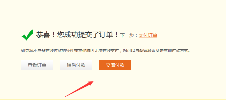 点击“立即付款”