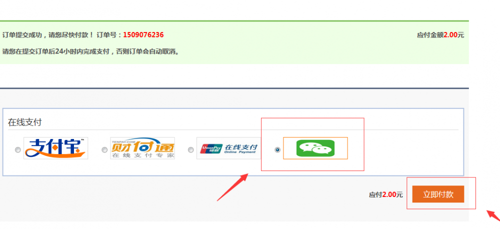 选择微信支付付款方式，点击“立即付款”
